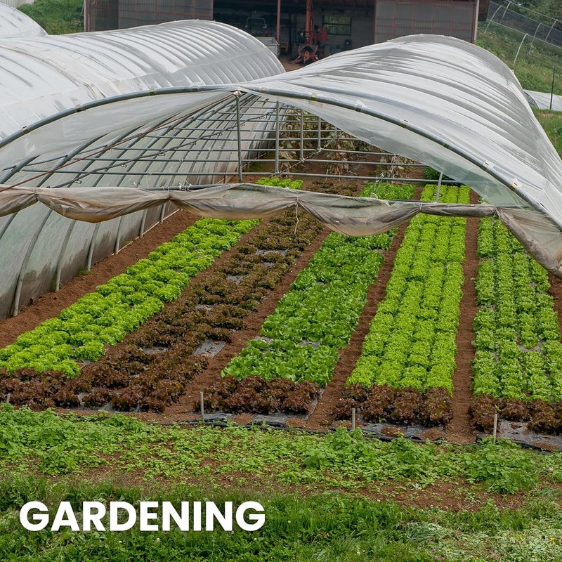 TAPIX Plastic Sheeting (10' x 25') Long, 6 Mil - UV Protection Poly Sheeting Polyethylene Film, Heavy Duty Greenhouse Plastic Sheeting - Image 5